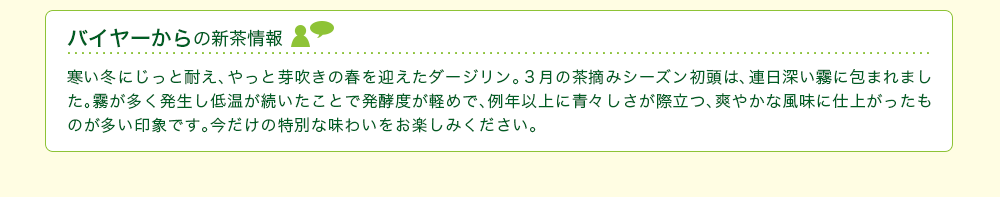 バイヤーからの新茶情報
