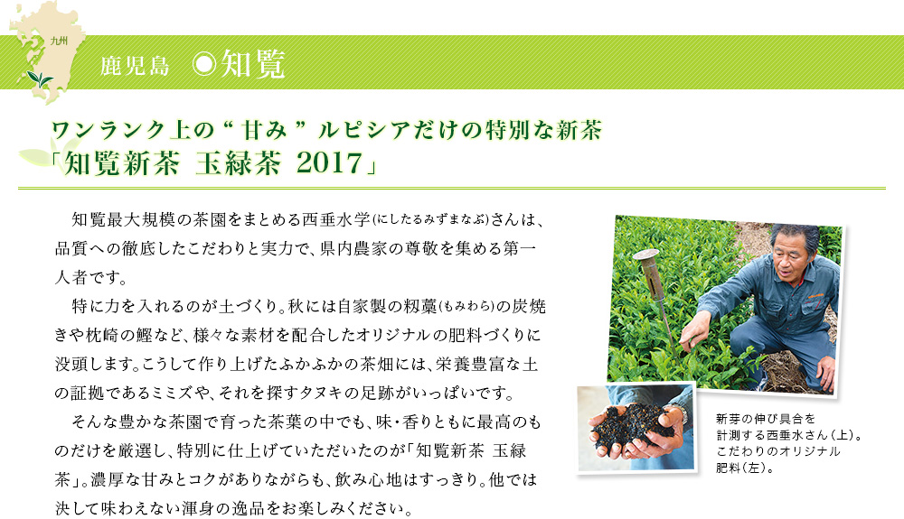 知覧新茶 玉緑茶 2017