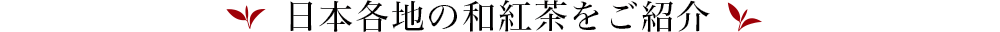 日本各地の和紅茶をご紹介