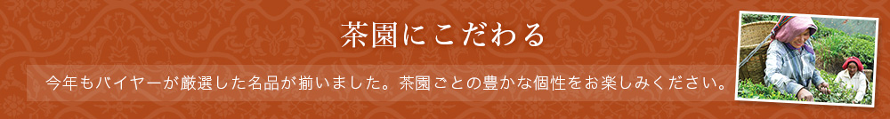 茶園にこだわる