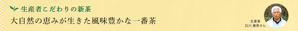 屋久島新茶 あさつゆ 2018