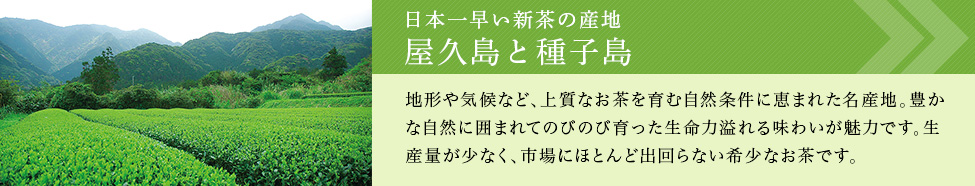 屋久島と種子島