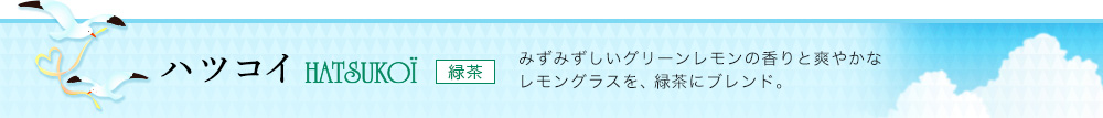 ハツコイ