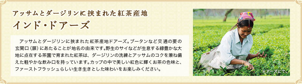 ドアーズ