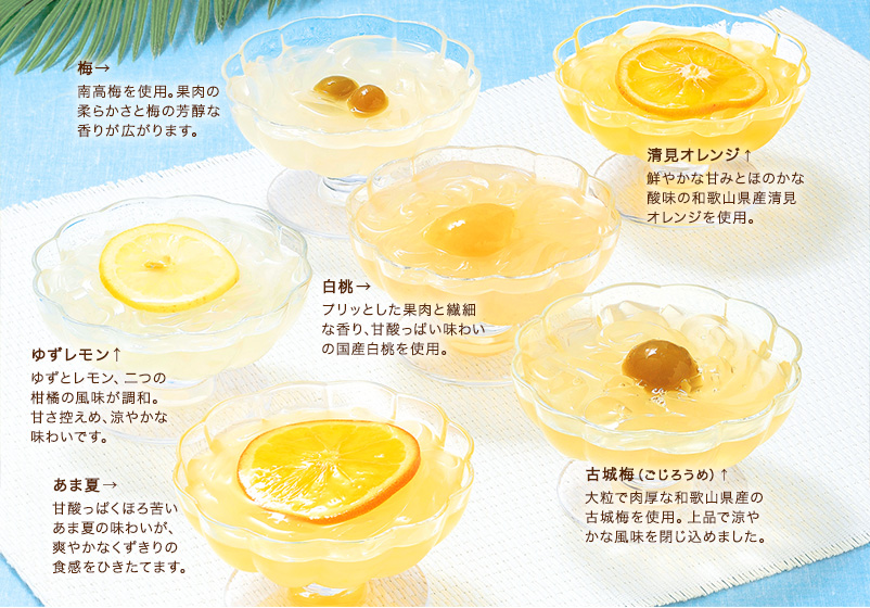 フルーツ香るくずきり6種セット