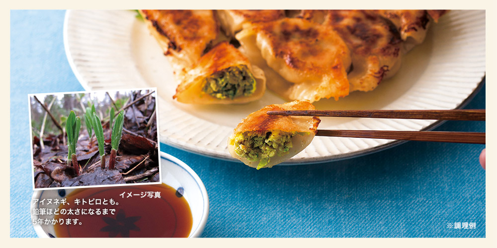 天然行者にんにく餃子