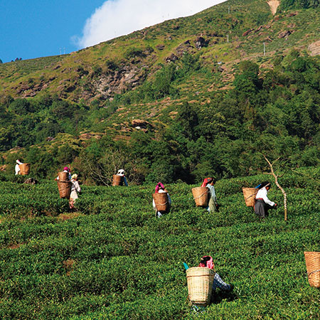 ���E�݉̂���������B