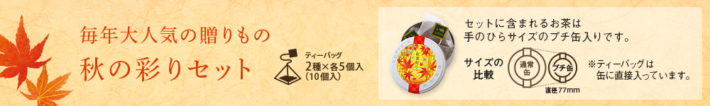 秋の彩りセット