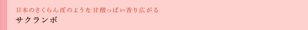 サクランボ