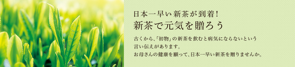 新茶で元気を贈ろう