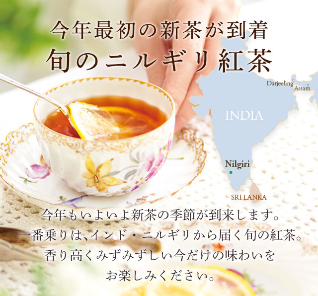LUPICIA】旬のニルギリ紅茶: | LUPICIA ONLINE STORE - 世界のお茶専門