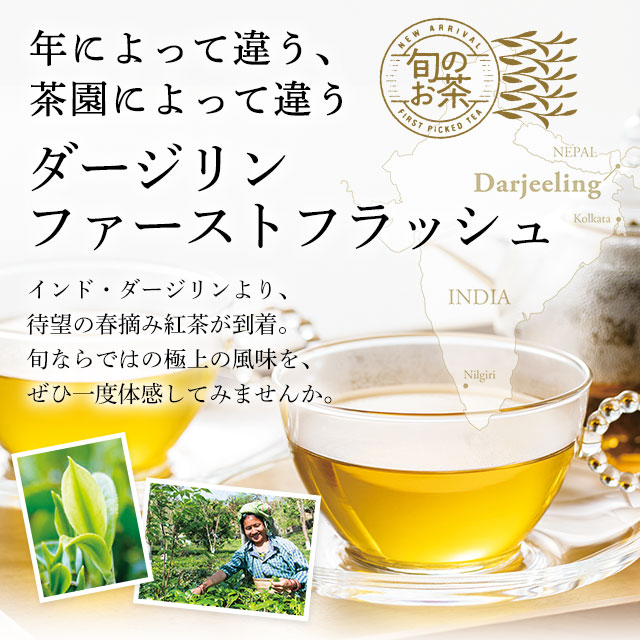 LUPICIA】ダージリン ファーストフラッシュ 2024: | LUPICIA ONLINE STORE - 世界のお茶専門店 ルピシア  ～紅茶・緑茶・烏龍茶・ハーブ～