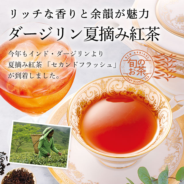 LUPICIA】ダージリン夏摘み紅茶: | LUPICIA ONLINE STORE - 世界のお茶専門店 ルピシア ～紅茶・緑茶・烏龍茶・ハーブ～