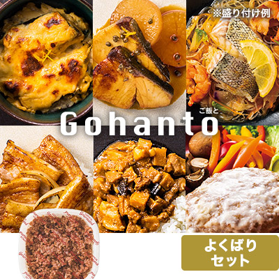 Gohanto 悭΂Zbg