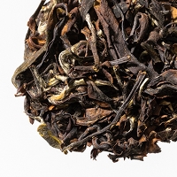 �������l 2025 - 20g M �ܓ�