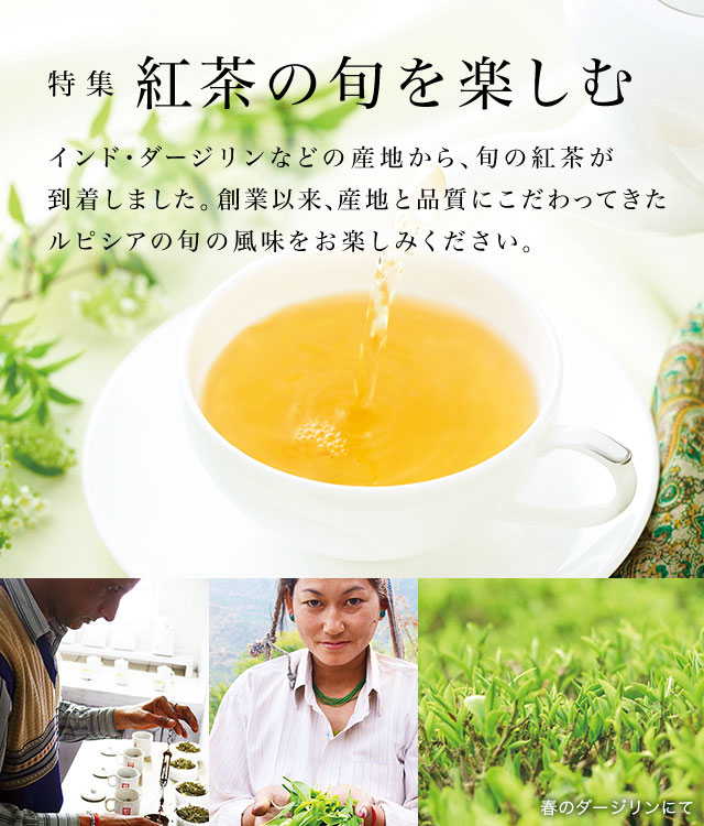 紅茶の旬を楽しむ｜世界のお茶専門店 ルピシア ～紅茶・緑茶・烏龍茶