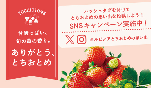 �Ō�̂Ƃ����Ƃ� SNS�L�����y�[��