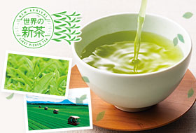 ���{�V��2026