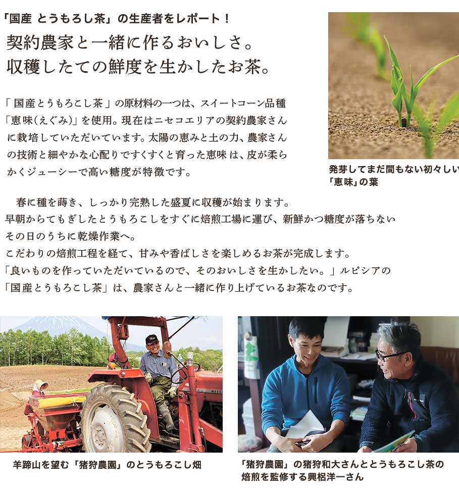 生産者レポート